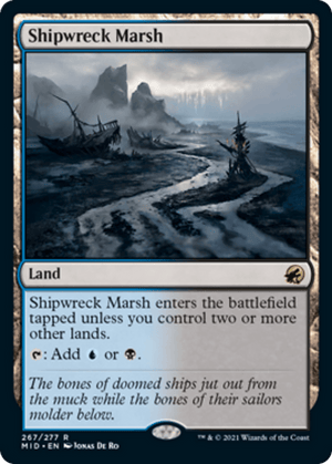 Shipwreck Marsh