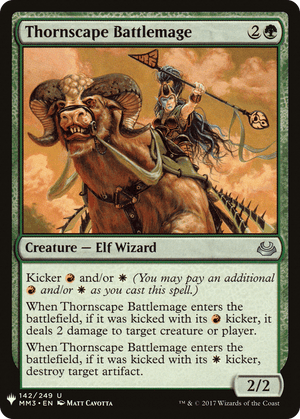 Thornscape Battlemage