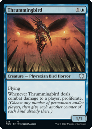 Thrummingbird