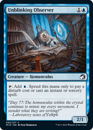Unblinking Observer