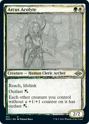 Arcus Acolyte