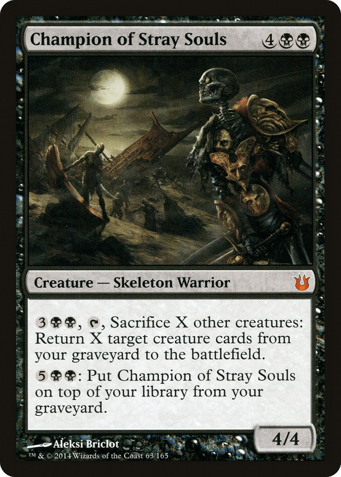 Champion of Stray Souls