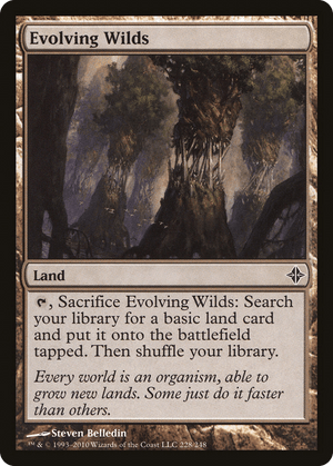 Evolving Wilds