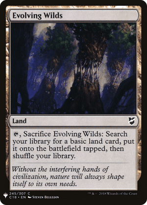 Evolving Wilds