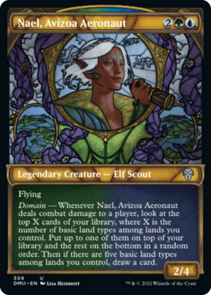 Nael, Avizoa Aeronaut