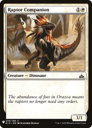 Raptor Companion