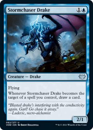 Stormchaser Drake