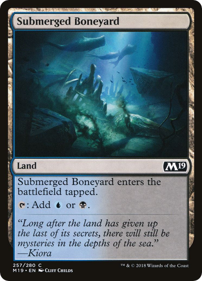 Submerged Boneyard