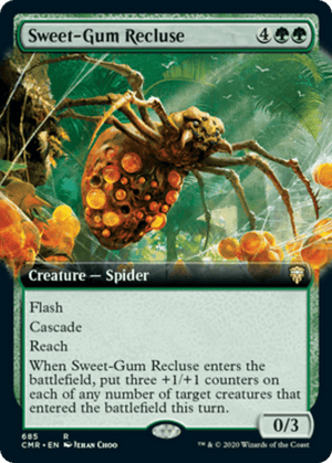 Sweet-Gum Recluse