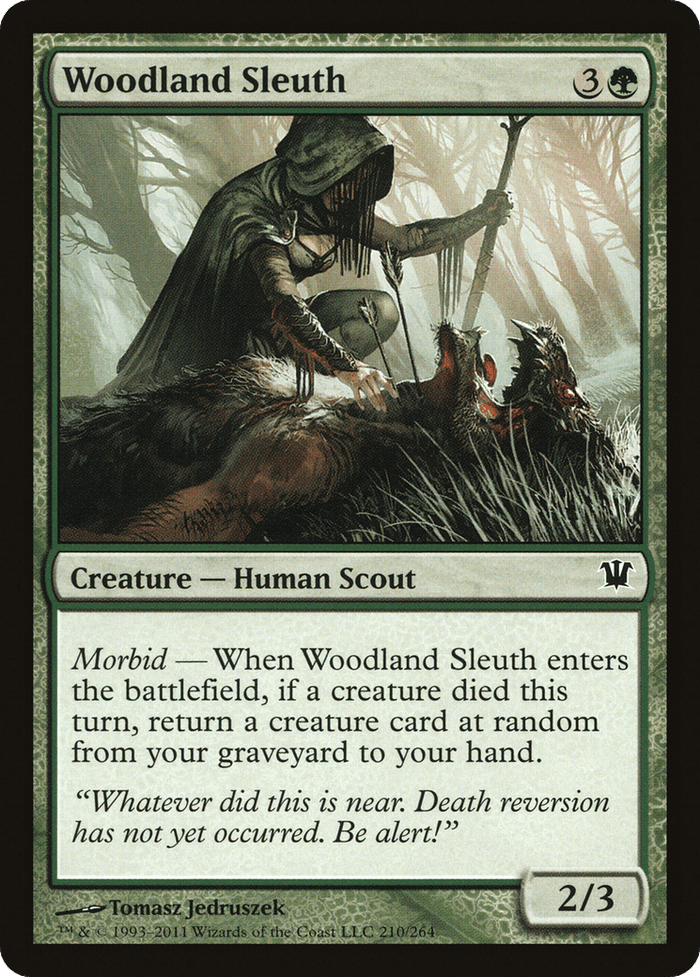 Woodland Sleuth